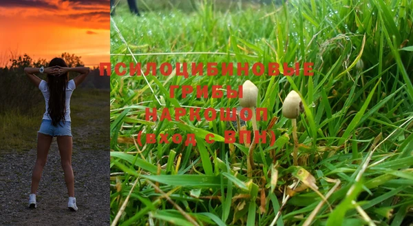 экстази Баксан