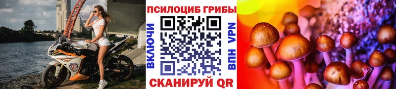 ОМГ ОМГ ссылки  Лукоянов  сайты даркнета клад  Псилоцибиновые грибы MAGIC MUSHROOMS 